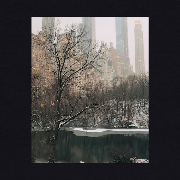 New York Winter 3 by igjustin